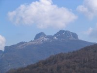 copia_di_immagine_030_203.jpg