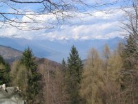 copia_di_immagine_023_159.jpg