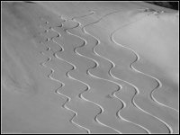 cinque_frequenze_freeride_918.jpg