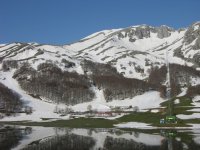 dscn5530_450.jpg