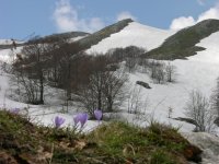 dscn5695_153.jpg
