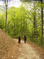 cima_carega_da_cavai_e_bisse_bianche_6_mag_2006_081_480.jpg