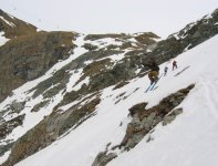 cervi_4_2_165.jpg