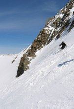 cervi_3_2_140.jpg