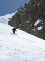 cervi_2_2_203.jpg