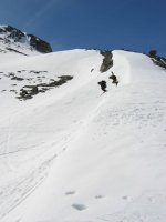 cervi_10_2_194.jpg