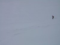 14_196.jpg