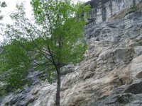 valle_dei_mulini_i_145.jpg