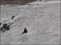 vallone_presena_tonale_08_164.jpg