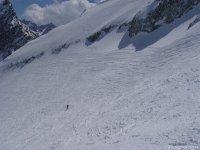 vallone_presena_tonale_10_951.jpg