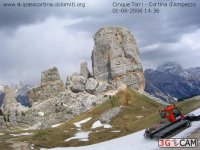 gatto_a_cortina_133.jpg