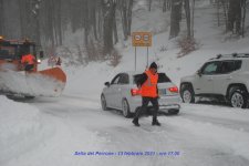 DSC_4315.JPG