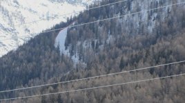 IMG_3580.jpg