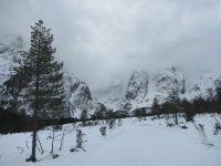 IMG_0994.jpg
