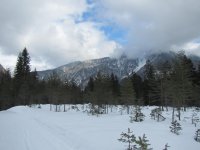 IMG_0997.jpg