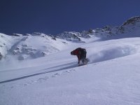 puccio_a_courma_228.jpg