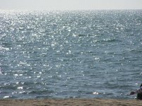 mare_121.jpg
