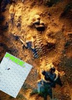 t_archeologia_127_211.jpg