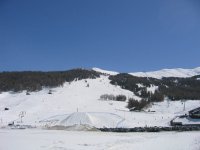img_8256_131.jpg