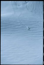 alaska4_682.jpg