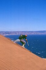 evaristepercent20onpercent20thepercent20bay_435.jpg