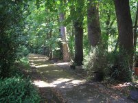 giardino_inglese_viale2_751.jpg