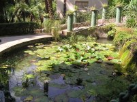 giardino_inglese_ninfee_156.jpg