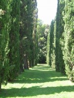 giardino_inglese_viale_101.jpg
