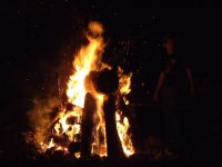 2006_08260029_183.jpg