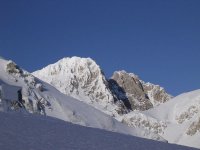 cornogrande1_207.jpg