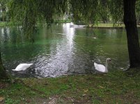 fonti_del_clitunno_164.jpg