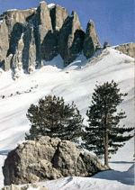 torri_del_sella_897.gif