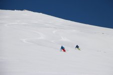 IMG_7855.JPG