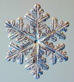 cristallo16_689.jpg