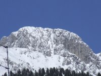 2006_03300001_796.jpg