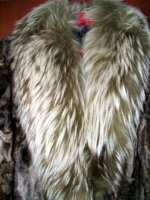 dscf1737_174.jpg