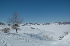 post_73_1158812105_123.jpg