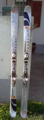 salomon_1_771.jpg
