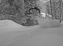 forum_salto_695.jpg