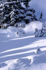 6347heim_pow_4_weber_141.jpg