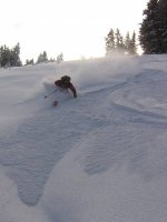 6331matt_in_shad_tracks1_med_191.jpg