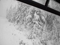 whistler_1_158.jpg