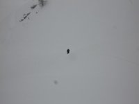solitario_109.jpg