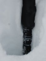 sar_vero_136.jpg