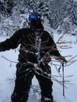 pelvic_albero_589.jpg