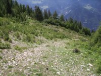 dosso_2_541.jpg