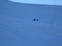 img_3624_161.jpg