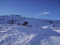img_0017_294.jpg