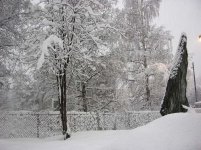 bormio7_307.jpg