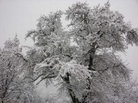 bormio5_682.jpg